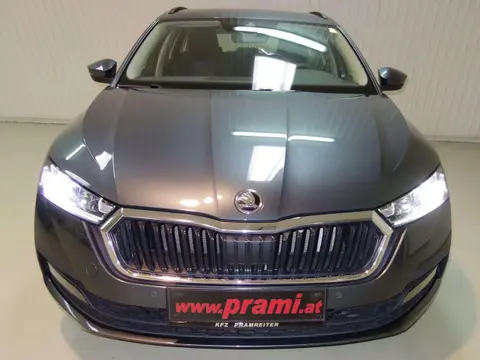 Used SKODA OCTAVIA Diesel 2020 Ad 