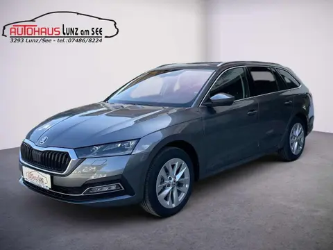 Annonce SKODA OCTAVIA Diesel 2024 d'occasion 