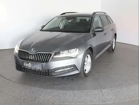 Annonce SKODA SUPERB Diesel 2024 d'occasion 