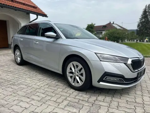 Used SKODA OCTAVIA Diesel 2021 Ad 