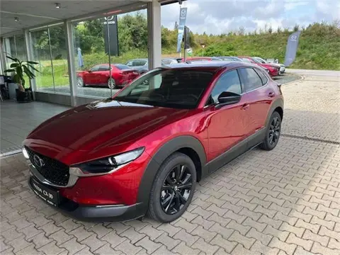 Annonce MAZDA CX-30 Essence 2024 d'occasion 