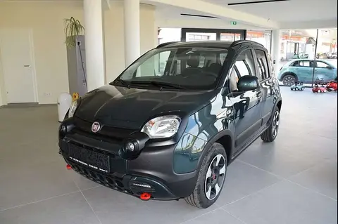 Used FIAT PANDA Petrol 2024 Ad 