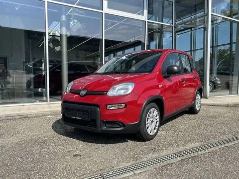 Used FIAT PANDA Petrol 2024 Ad 