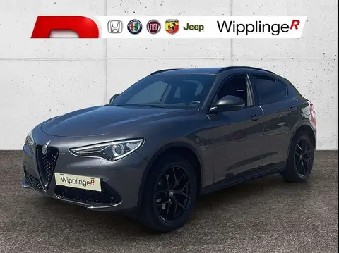 Used ALFA ROMEO STELVIO Diesel 2019 Ad 