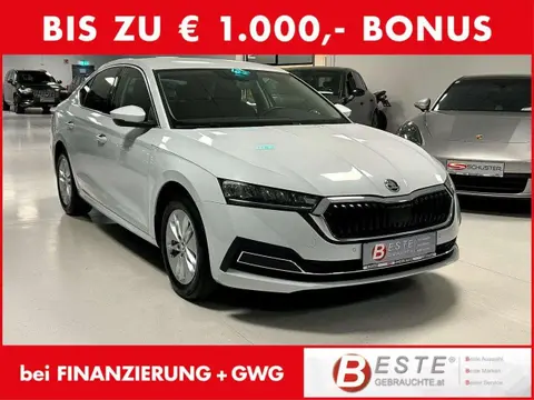 Annonce SKODA OCTAVIA Diesel 2023 d'occasion 