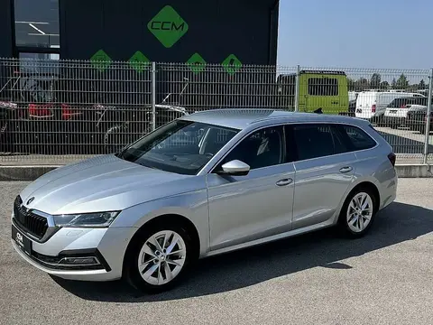 Annonce SKODA OCTAVIA Diesel 2021 d'occasion 