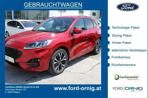 Used FORD KUGA Hybrid 2020 Ad 