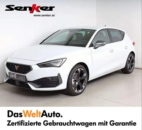 Used CUPRA LEON Petrol 2024 Ad 