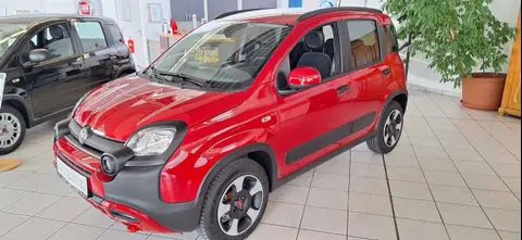 Annonce FIAT PANDA Essence 2024 d'occasion 