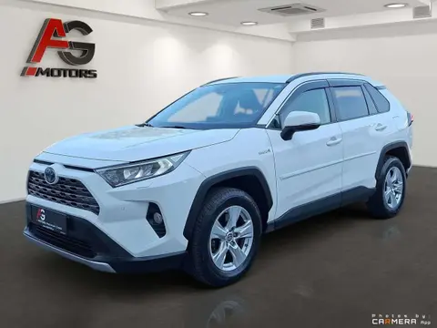 Used TOYOTA RAV4 Hybrid 2020 Ad 