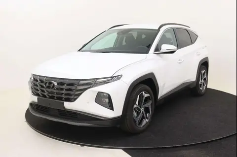 Used HYUNDAI TUCSON Hybrid 2024 Ad 