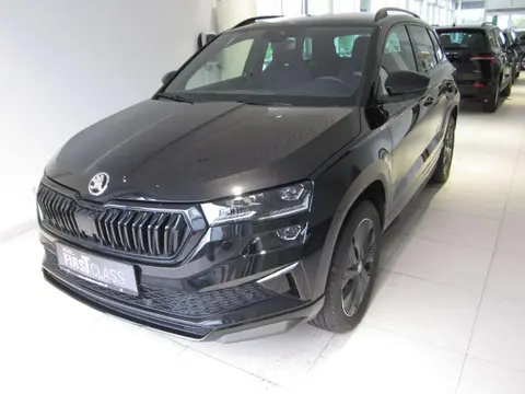 Annonce SKODA KAROQ Diesel 2024 d'occasion 