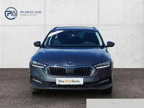 Annonce SKODA OCTAVIA Diesel 2024 d'occasion 