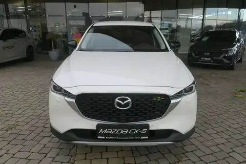 Used MAZDA CX-5 Diesel 2023 Ad 