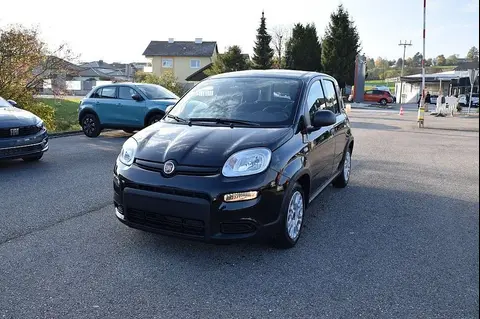 Used FIAT PANDA Petrol 2024 Ad 