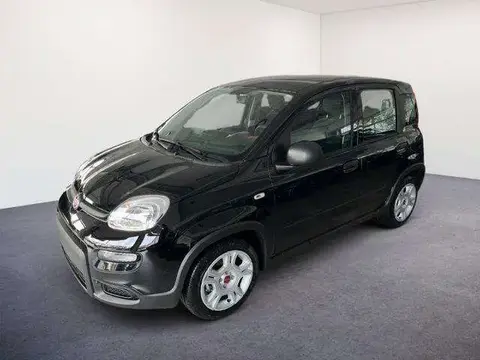 Used FIAT PANDA Petrol 2024 Ad 