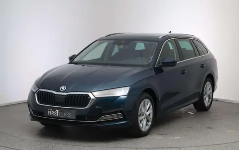 Annonce SKODA OCTAVIA Diesel 2024 d'occasion 