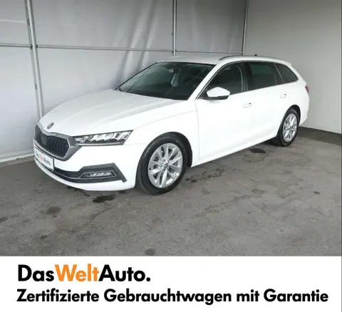 Used SKODA OCTAVIA Diesel 2020 Ad 