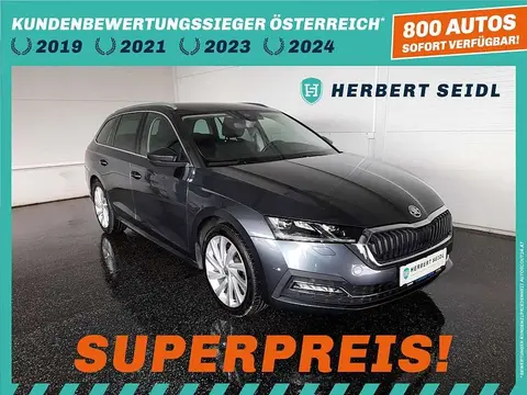 Used SKODA OCTAVIA Diesel 2020 Ad 