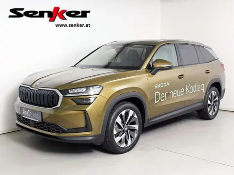 Used SKODA KODIAQ Diesel 2024 Ad 