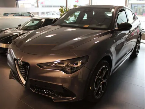 Annonce ALFA ROMEO STELVIO Diesel 2024 d'occasion 