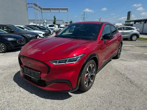 Annonce FORD MUSTANG Électrique 2022 d'occasion 