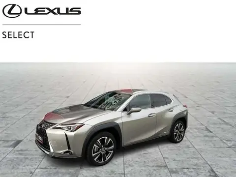 Used LEXUS UX Hybrid 2020 Ad 