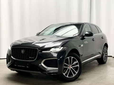 Used JAGUAR F-PACE Hybrid 2022 Ad 