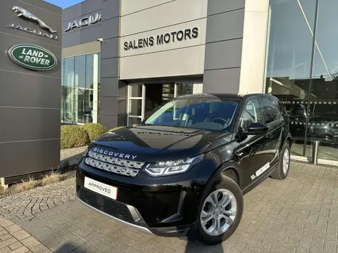 Used LAND ROVER DISCOVERY Diesel 2023 Ad 