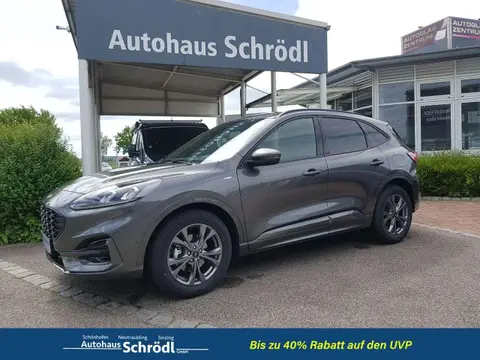 Used FORD KUGA Petrol 2022 Ad 