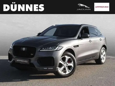 Annonce JAGUAR F-PACE Diesel 2018 d'occasion 