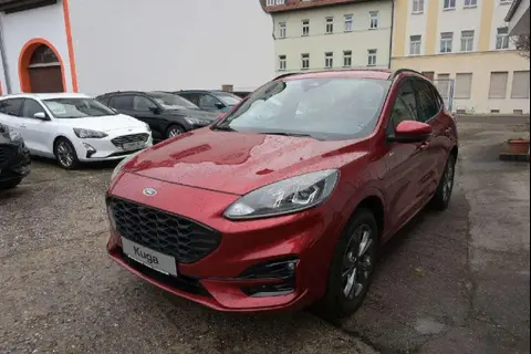 Used FORD KUGA Hybrid 2022 Ad 