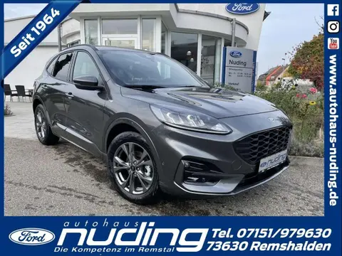 Annonce FORD KUGA Essence 2024 d'occasion 