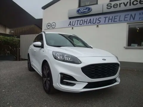 Annonce FORD KUGA Essence 2024 d'occasion 