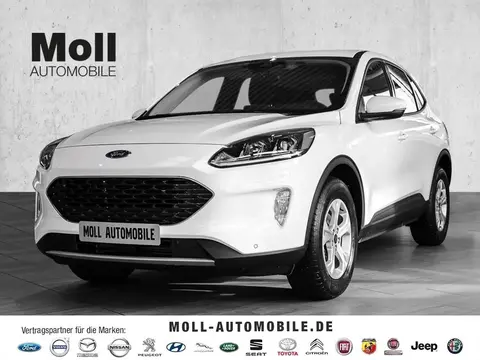 Annonce FORD KUGA Essence 2023 d'occasion 