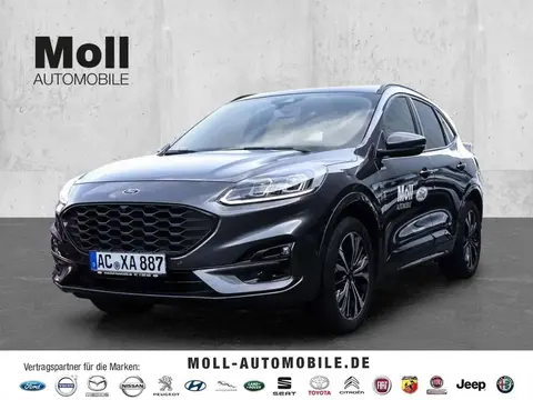 Annonce FORD KUGA Diesel 2023 d'occasion 