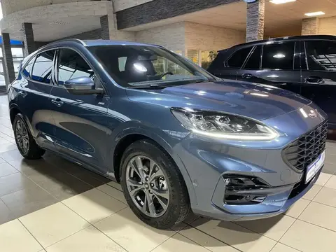 Annonce FORD KUGA Hybride 2021 d'occasion 