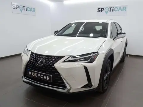 Used LEXUS UX Hybrid 2020 Ad 