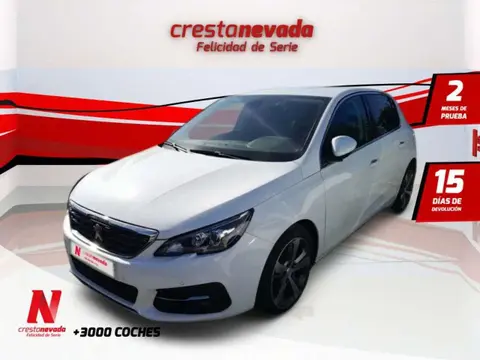 Annonce PEUGEOT 308 Diesel 2019 d'occasion 