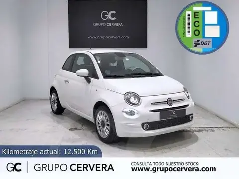 Used FIAT 500 Petrol 2023 Ad 