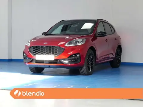 Annonce FORD KUGA Électrique 2023 d'occasion 