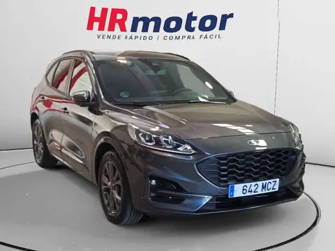 Used FORD KUGA Hybrid 2022 Ad 