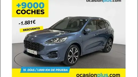 Used FORD KUGA Petrol 2022 Ad 