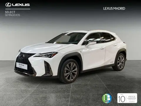 Annonce LEXUS UX Hybride 2024 d'occasion 