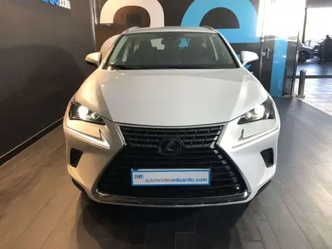 Used LEXUS NX Hybrid 2020 Ad 