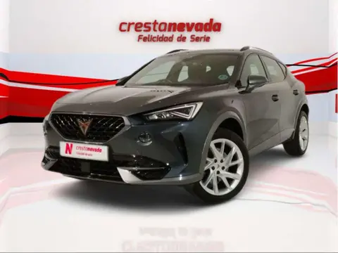 Used CUPRA FORMENTOR Diesel 2022 Ad 