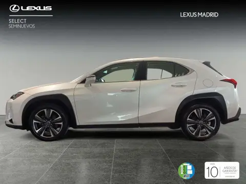 Used LEXUS UX Hybrid 2019 Ad 