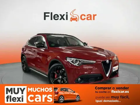 Used ALFA ROMEO STELVIO Diesel 2019 Ad 