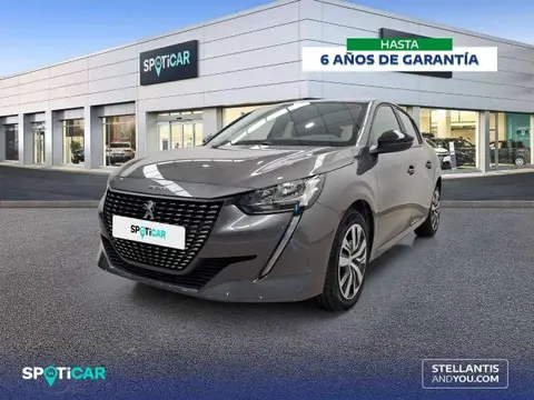 Used PEUGEOT 208 Petrol 2023 Ad 