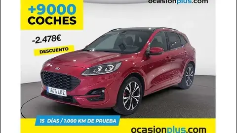 Annonce FORD KUGA Diesel 2020 d'occasion 